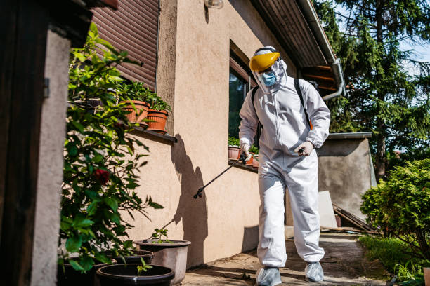 Best Pest Prevention Services  in Columbus, TX