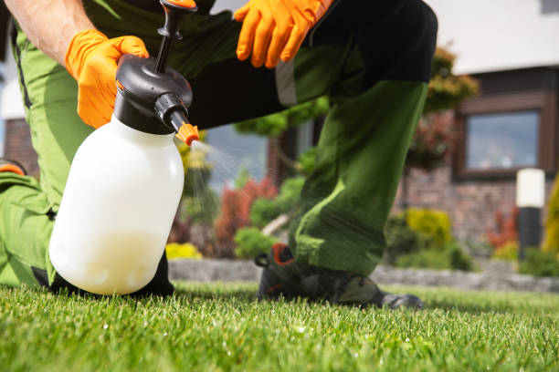 Best Wasp Removal Services  in Columbus, TX