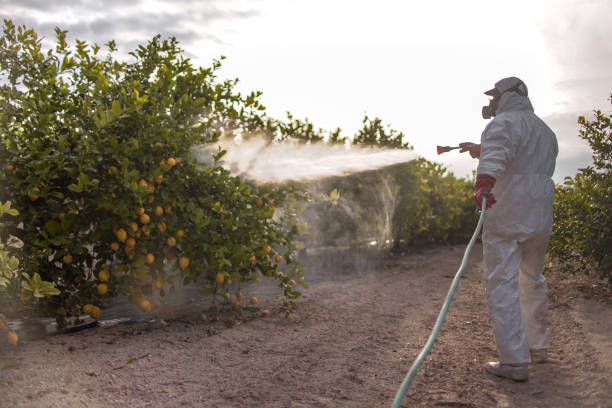 Best Affordable Pest Control Services  in Columbus, TX