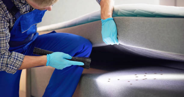 Best Mosquito Control Services  in Columbus, TX