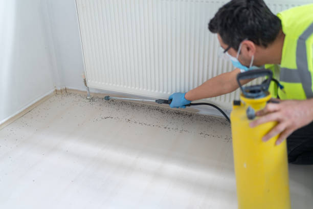 Best Termite Control Services  in Columbus, TX