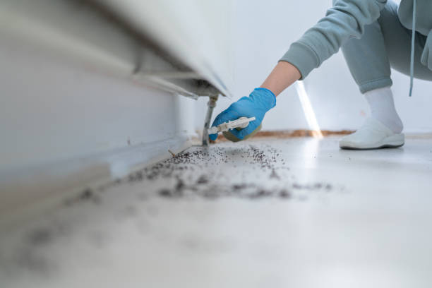 Best Best Pest Control Companies  in Columbus, TX